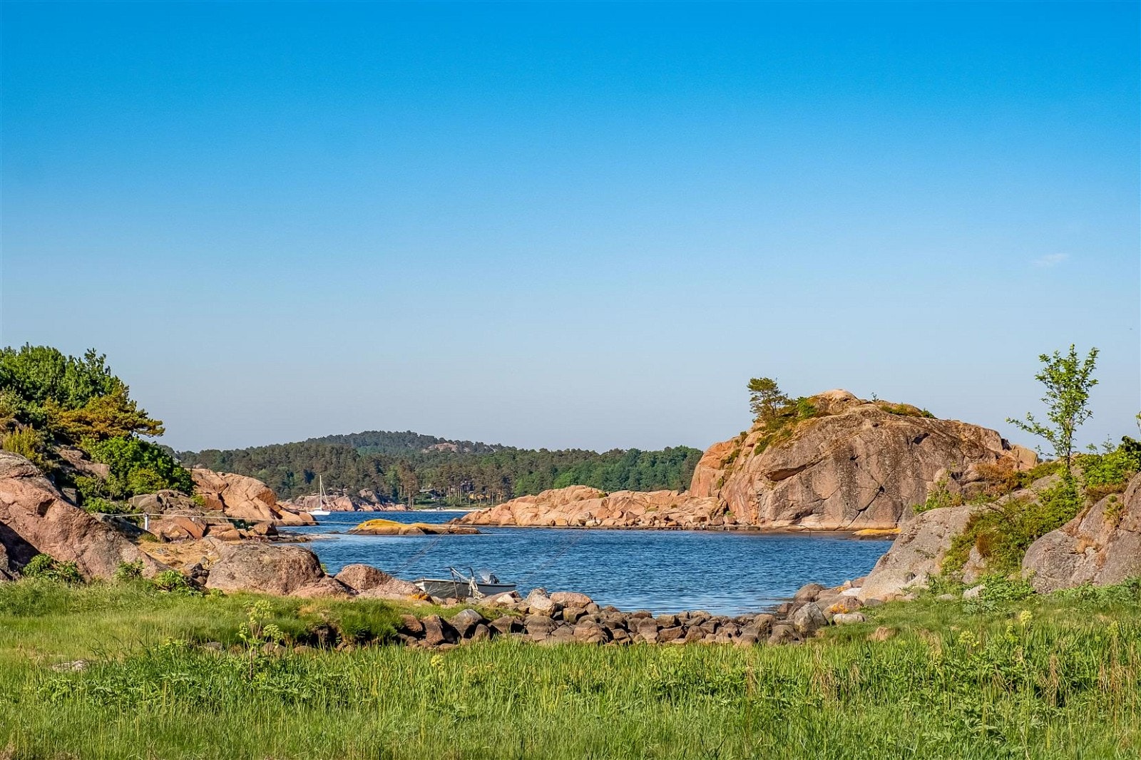 Nærmiljø! Galleribilde