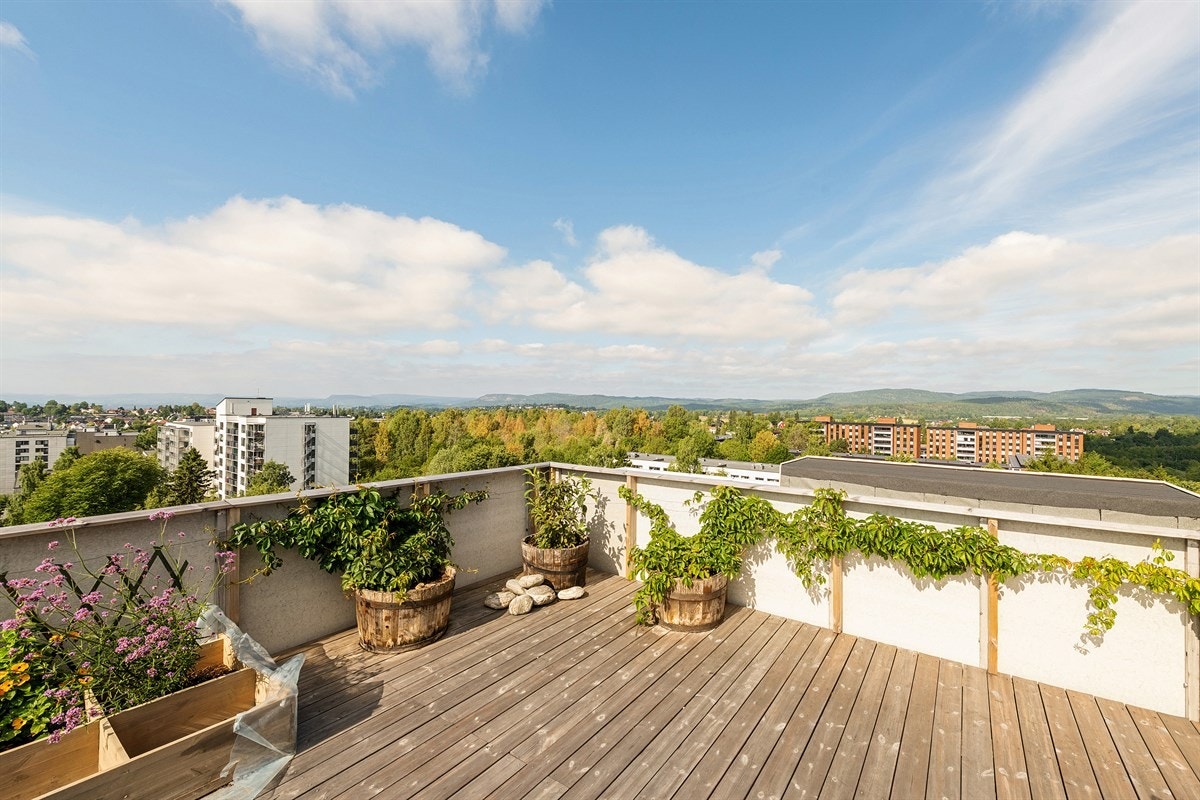 Felles takterrasse med sol hele dagen Galleribilde