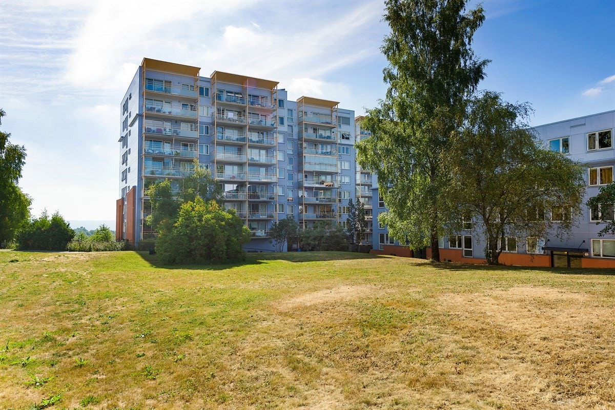 Kollektivet er et trivelig borettslag med pent opparbeidede fellesarealer Galleribilde