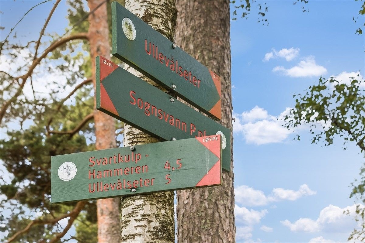 Normarka rett ved. Galleribilde