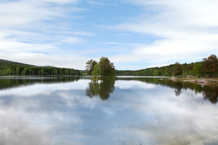 Sognsvann, i nærhteten. Galleribilde