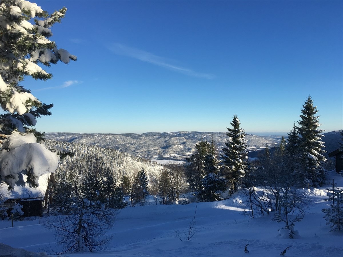 Vinterstemning Galleribilde
