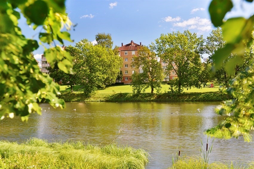 Hovindammen like utenfor boligen. Galleribilde