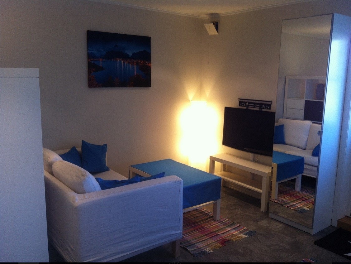 TV-krok med sofa Galleribilde