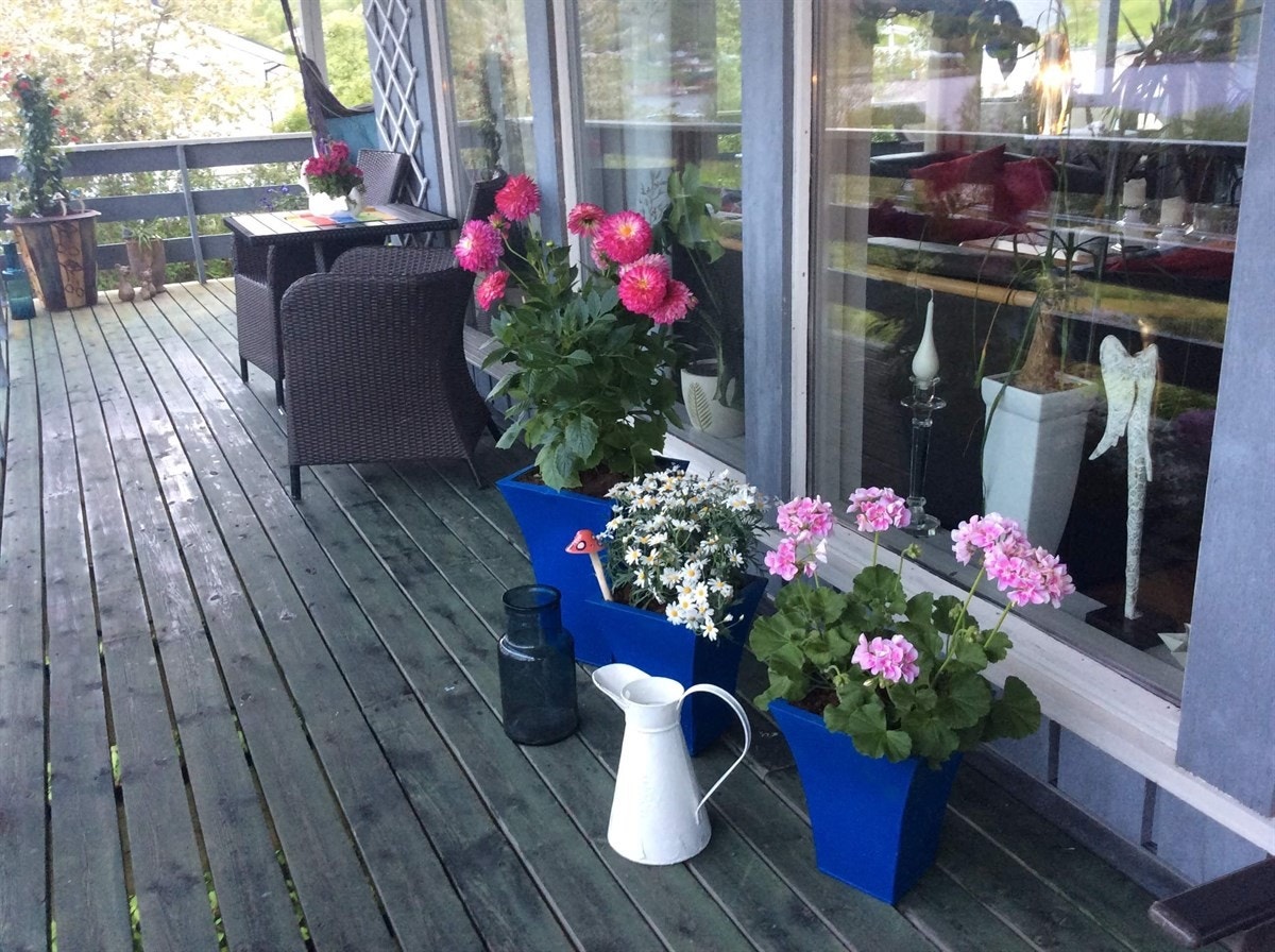 Uteområde Galleribilde