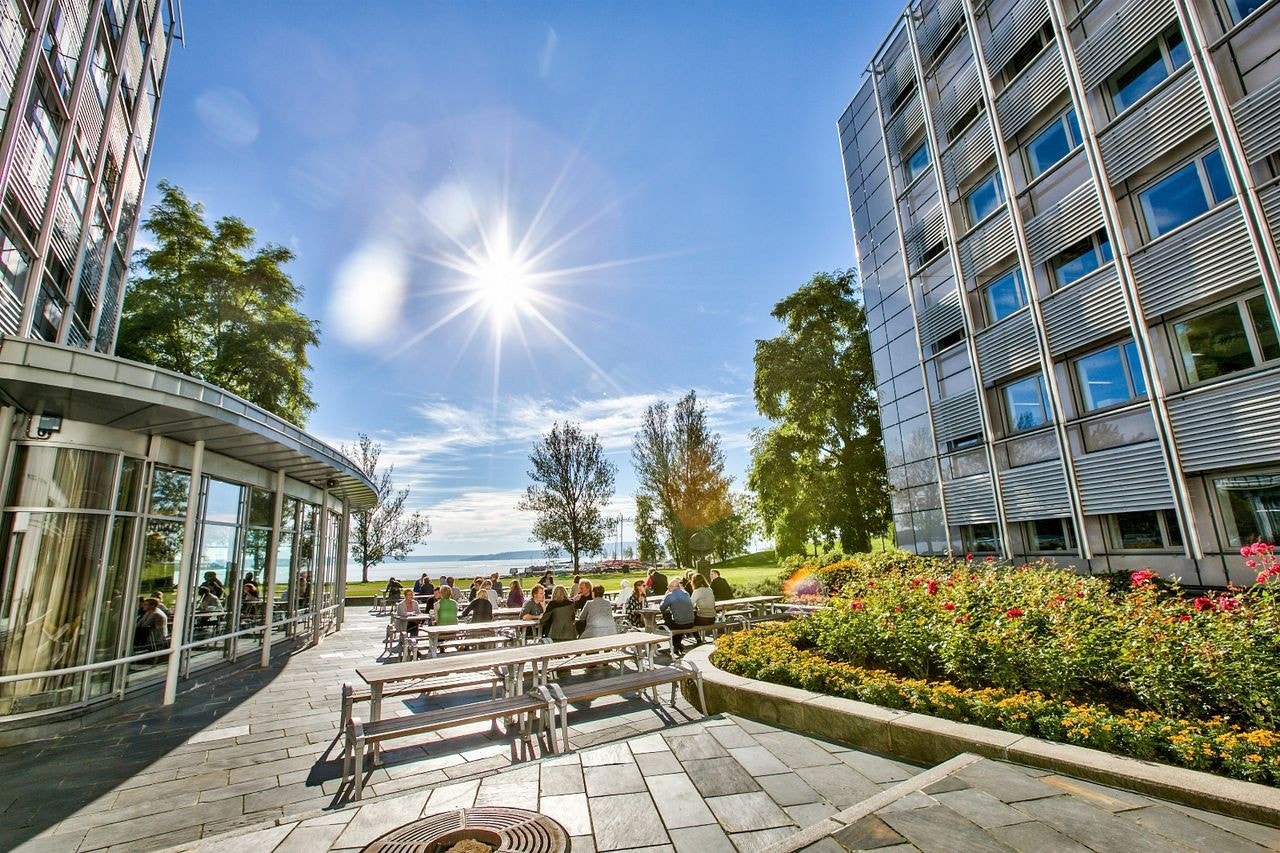 Flotte uteområder Galleribilde