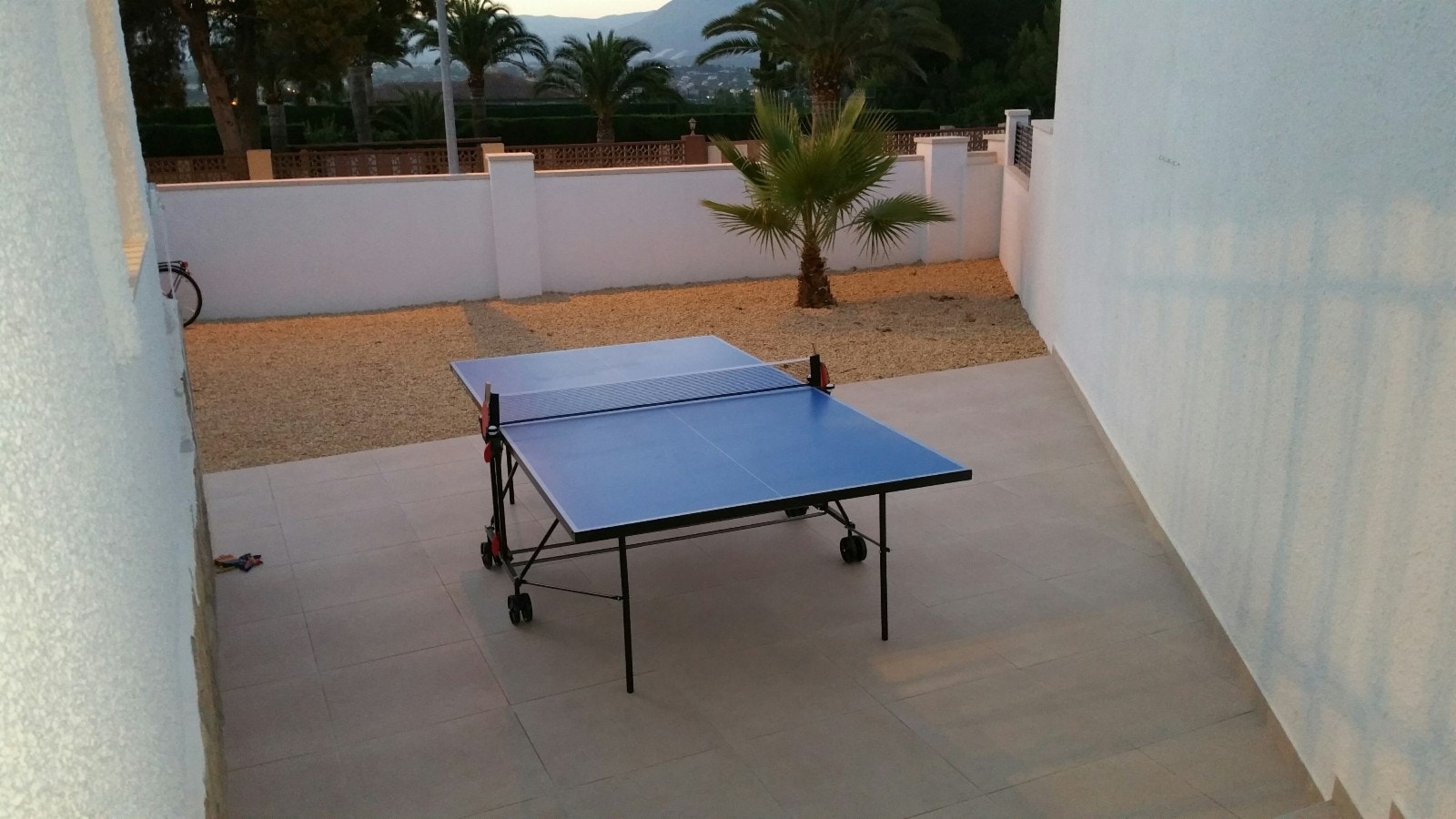 Bord-tennis Galleribilde