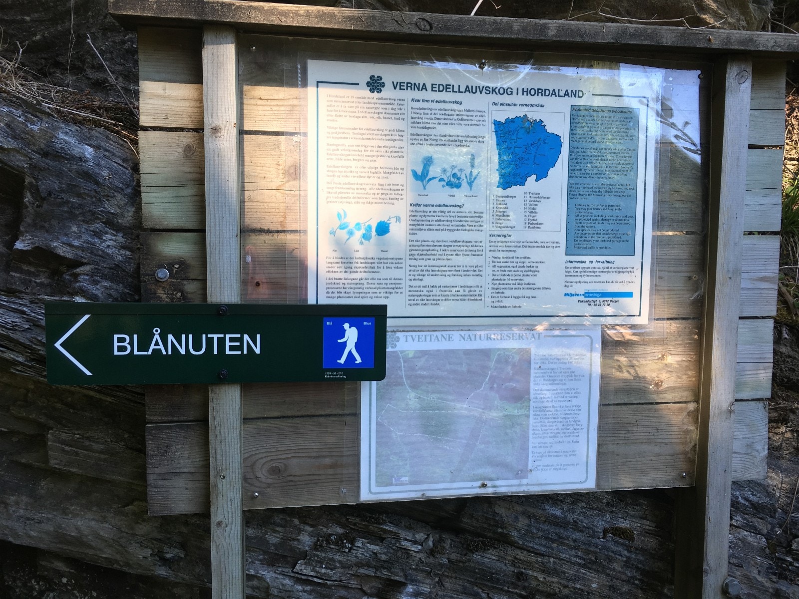 Blånuten er en fin tur på ca 2 timer Galleribilde