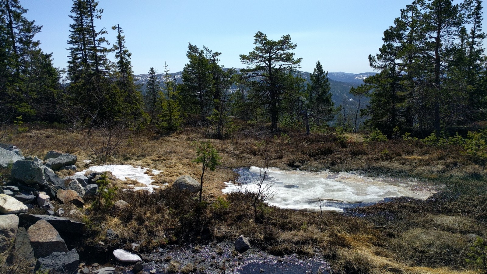 fra veien mot tomten Galleribilde