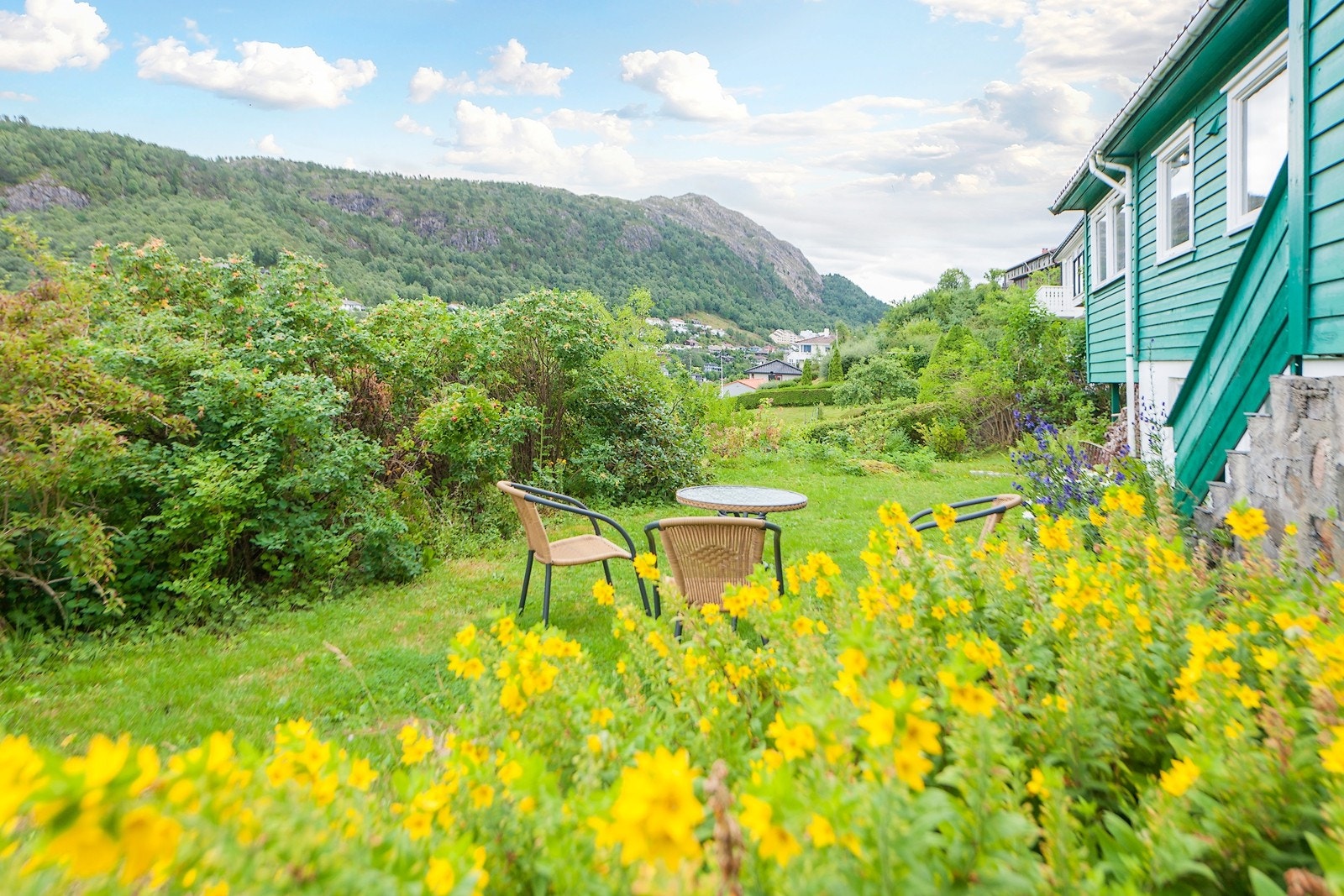 Gir du hagen litt kjærlighet kan sluttresultatet bli meget bra! Galleribilde
