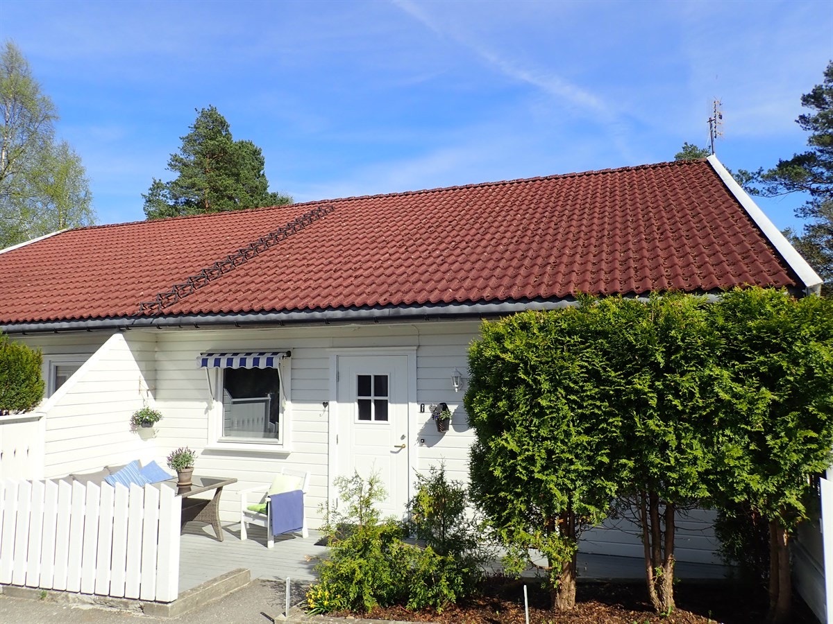 Fasade - Framside Galleribilde