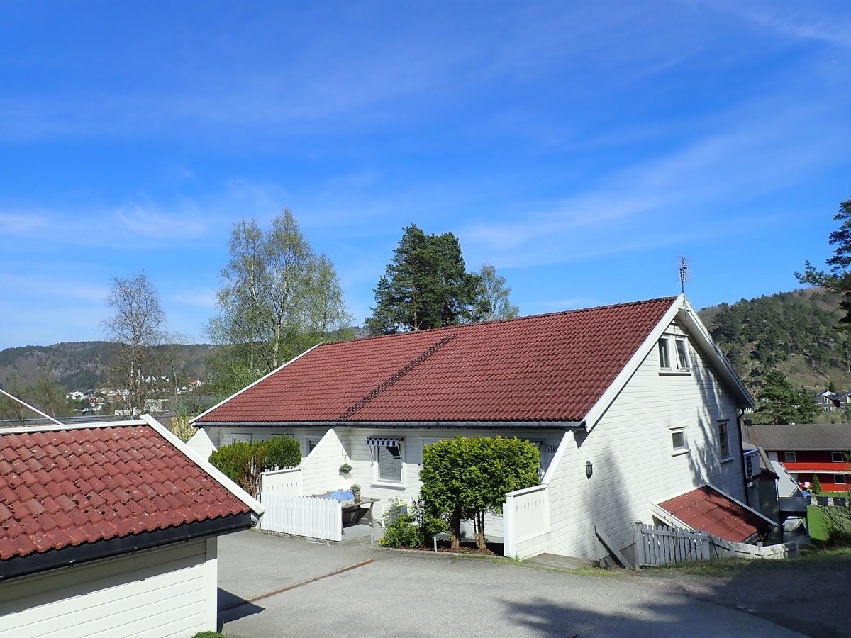 Fasade - Framside Galleribilde