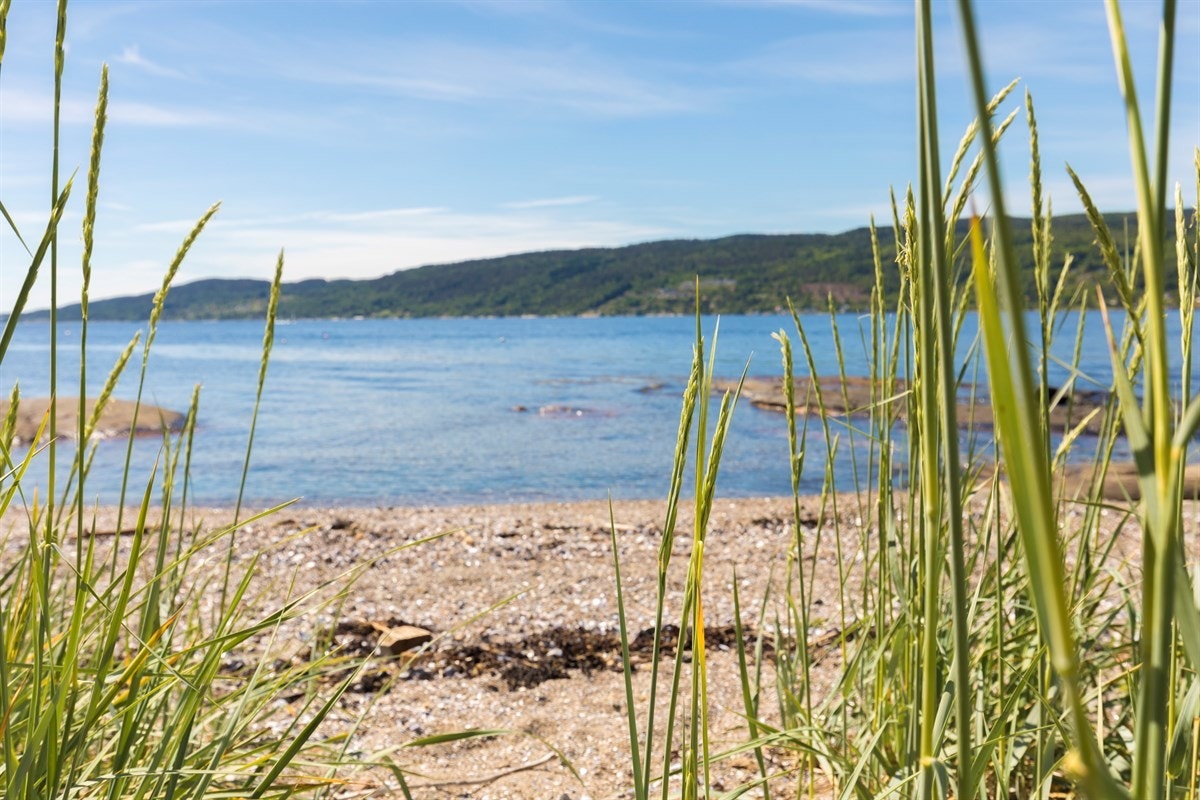 Sandstrand på tilstøtende friområde Galleribilde