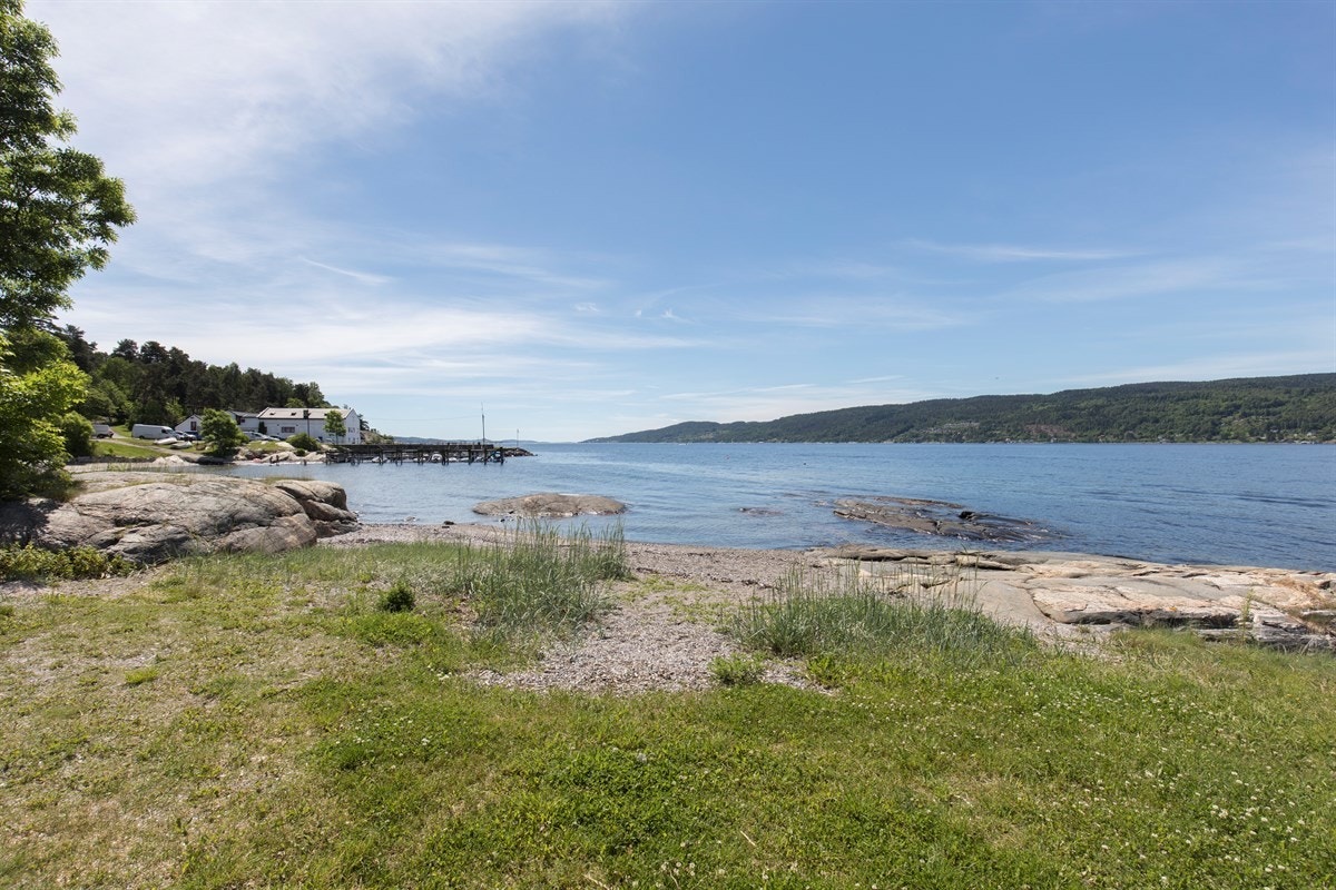 Gressletten på tilstøtende friområde Galleribilde