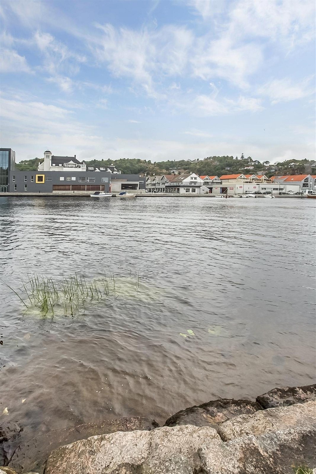 Allmenningen. Galleribilde