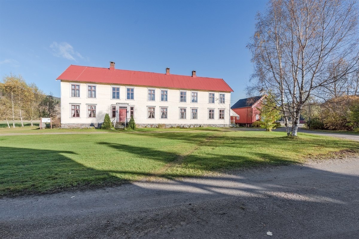 Gårdstun omkranset av plenarealer, trær og prydbusker. Galleribilde
