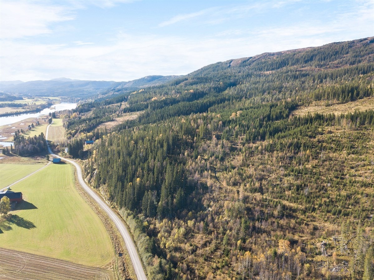 32510 dekar av eiendommen er skog Galleribilde