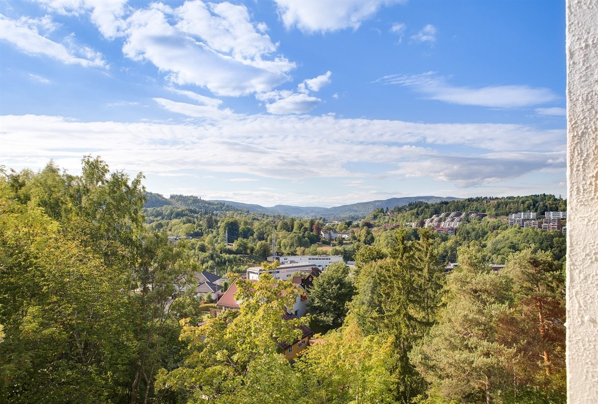 Utsikten fra stuesiden, her bor du helt uten innsyn! Galleribilde
