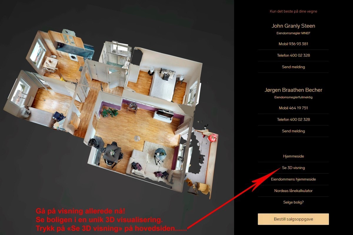 3D visning. Galleribilde