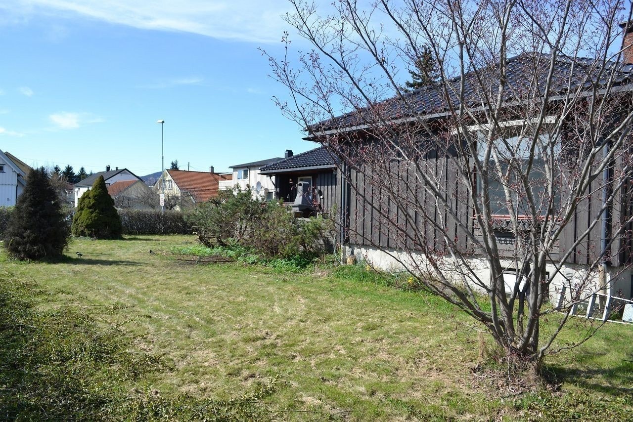 Deler av hage Galleribilde