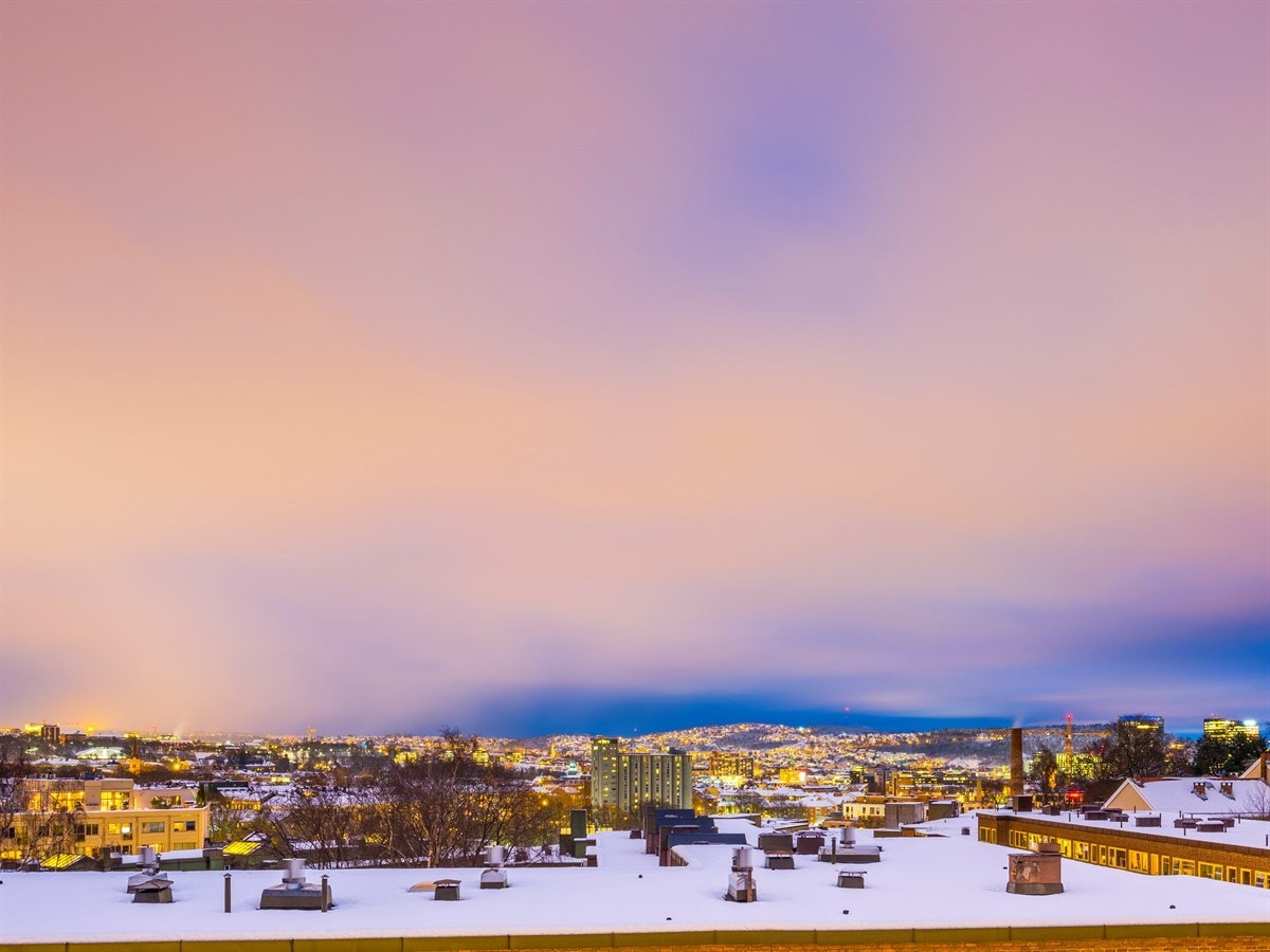 - Utsikt fra stuevinduet - Galleribilde