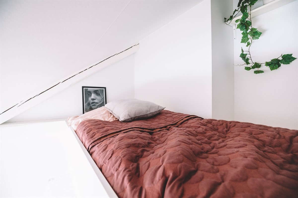 - Hems - Galleribilde