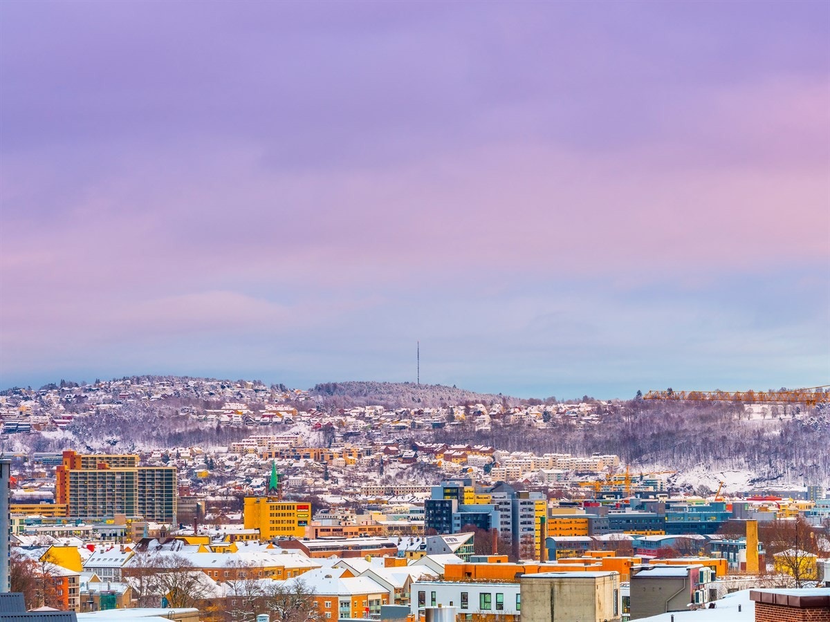 - Utsikt fra stuevinduet - Galleribilde