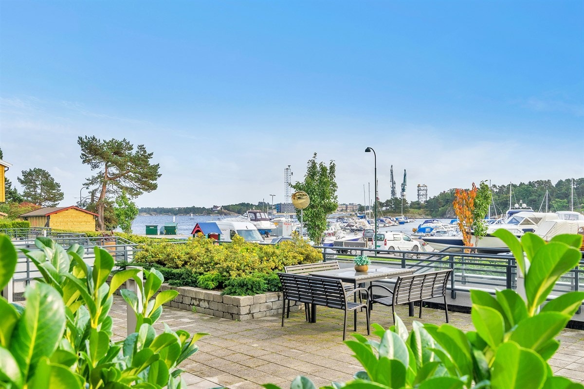 Flott utsikt fra leil. Galleribilde