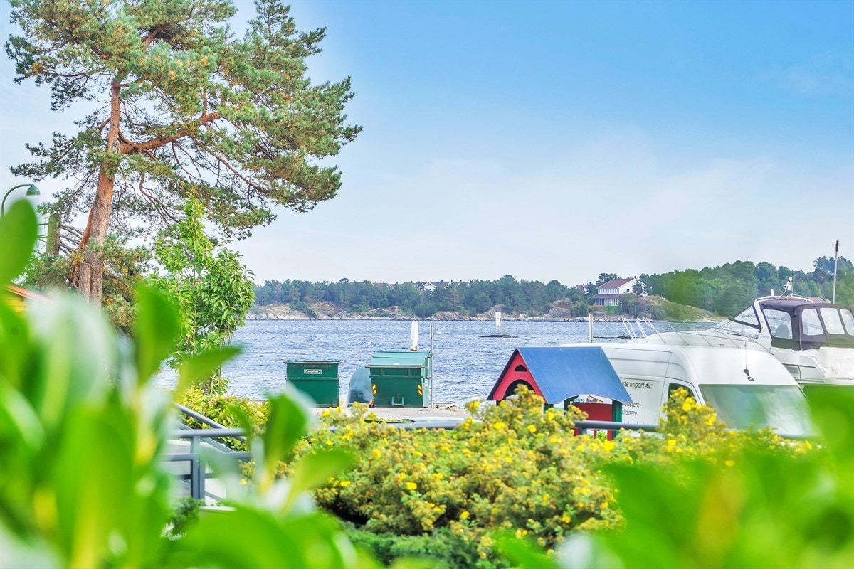 Flott sjøutsikt fra terrassen Galleribilde