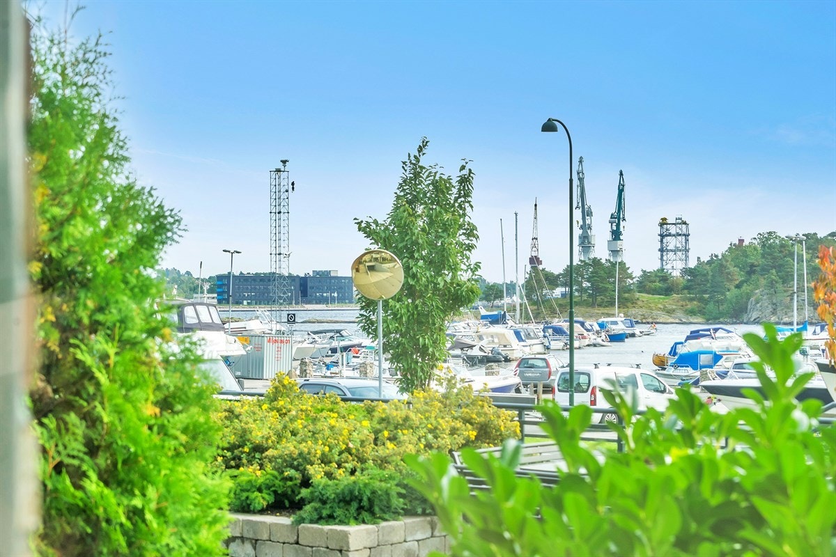 Flott utsikt fra leil. Galleribilde