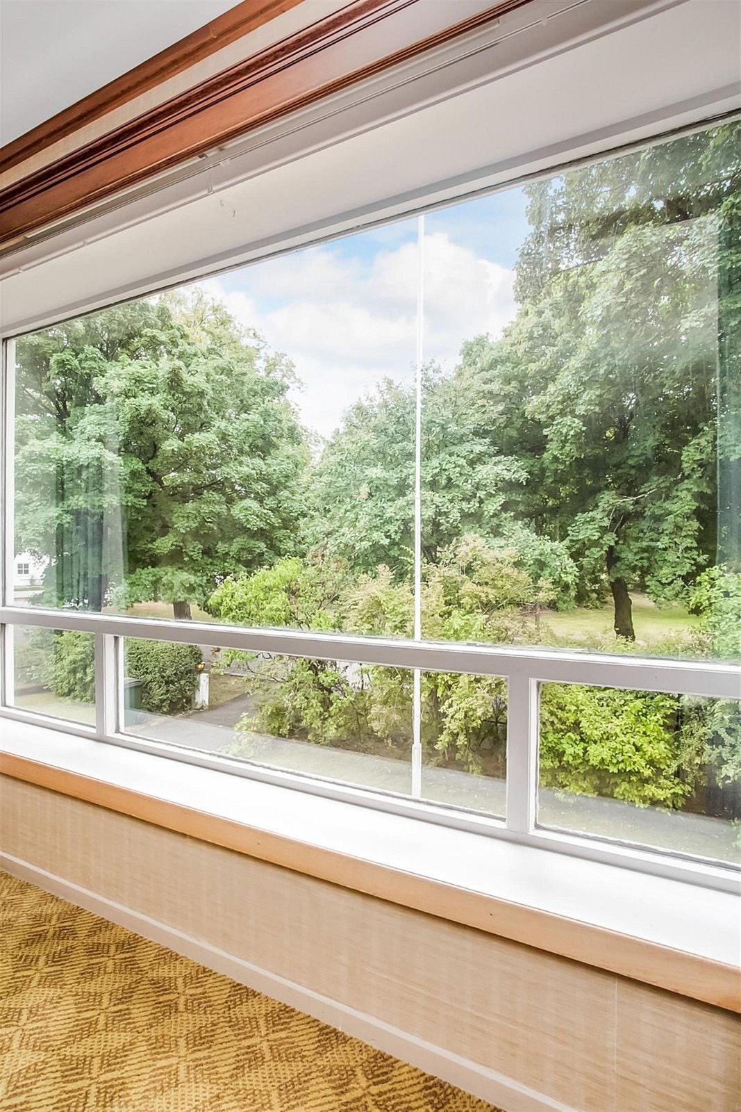 Hyggelig utsyn. Galleribilde