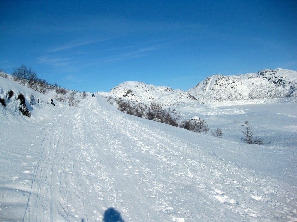Flott skiterreng Galleribilde