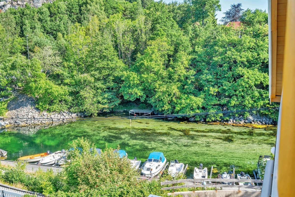 Rona - Enebolig med båtplass. Stor tomt og utsikt mot kanalen - Exbo v/eiendomsmegler Terje Skaara Galleribilde