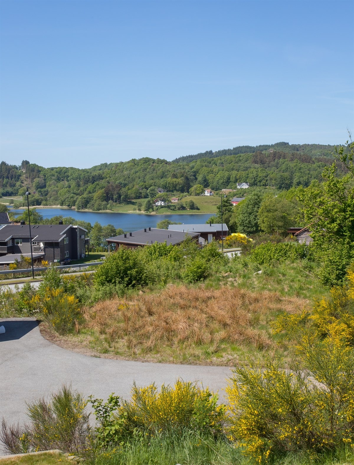 Utsikten fra terrassen. Galleribilde
