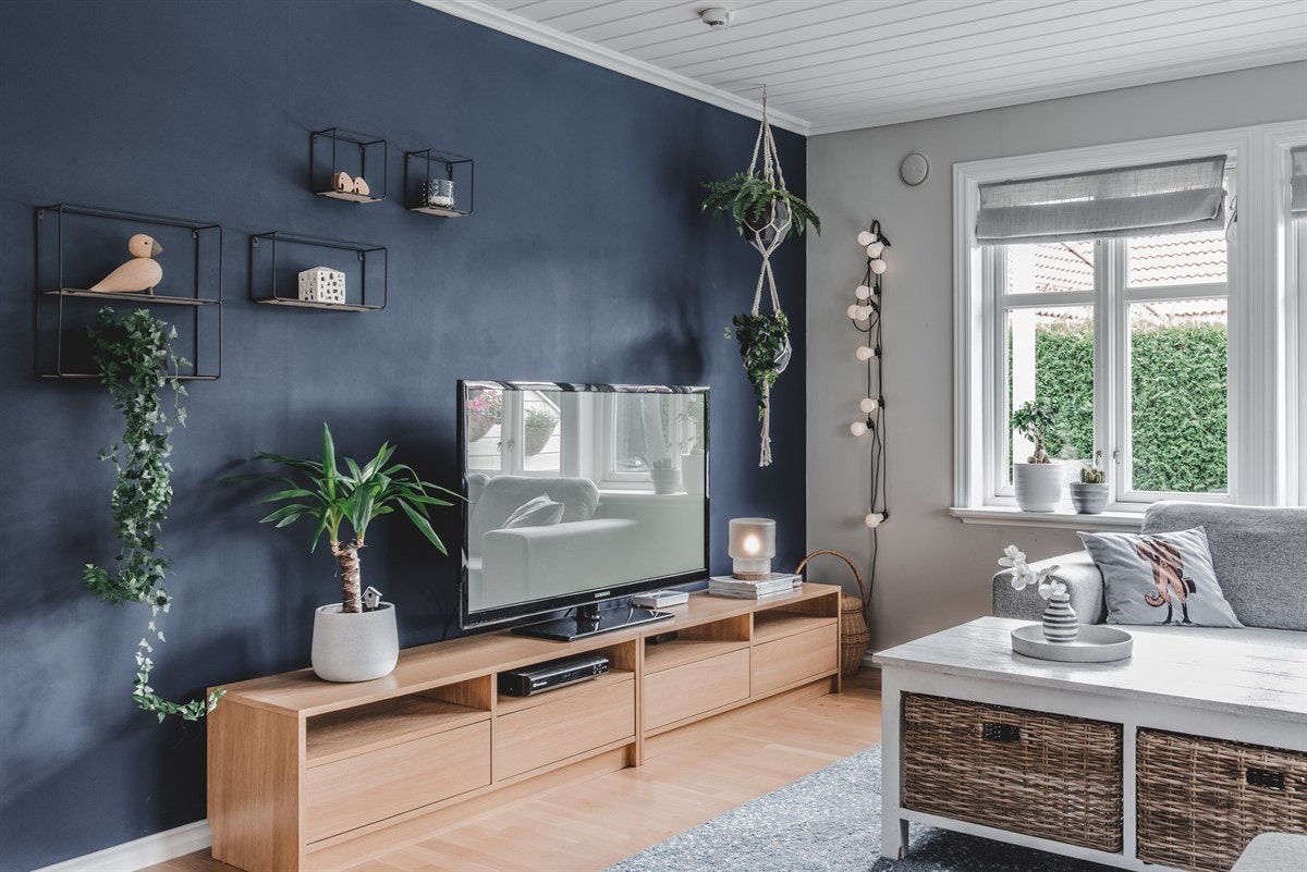 TV-avdeling i stue. Galleribilde