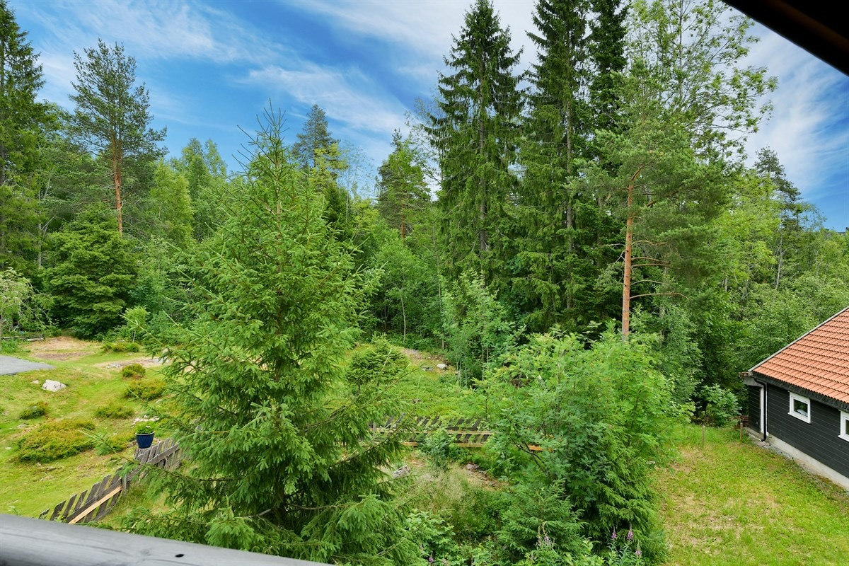 Utsikt inn mot skogholtet fra terrassen i 2 etasje. Galleribilde