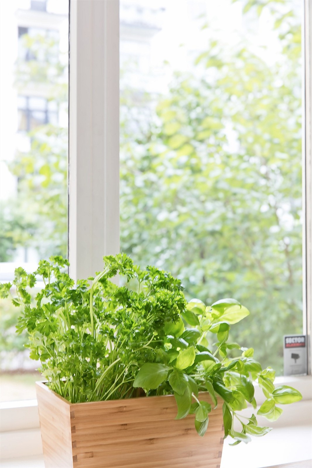 Hyggelig utsyn fra kjøkkenvinduet, ut mot forhagen. Bygården ligger tilbaketrukket fra både vei og fortau. Galleribilde