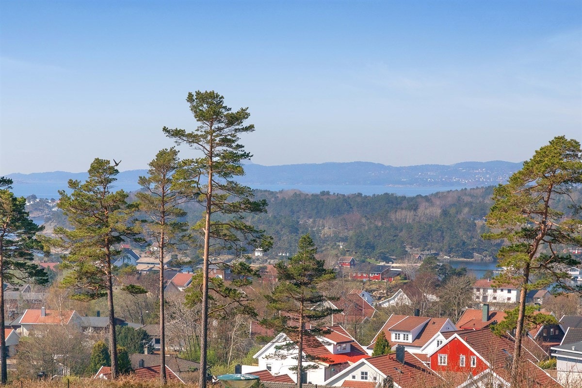 Utsiktt Galleribilde