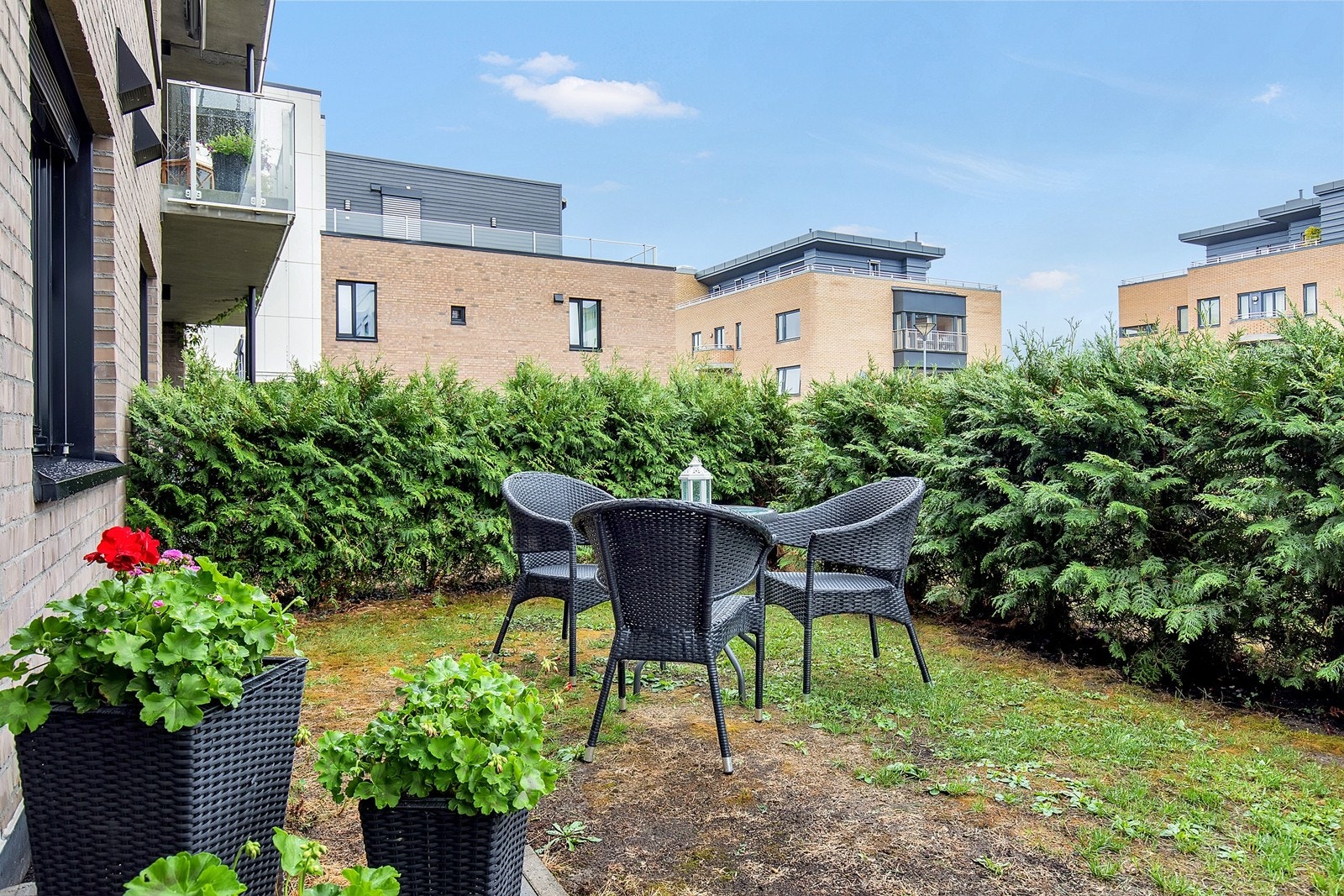 Hage med skjermende thuja hekk Galleribilde