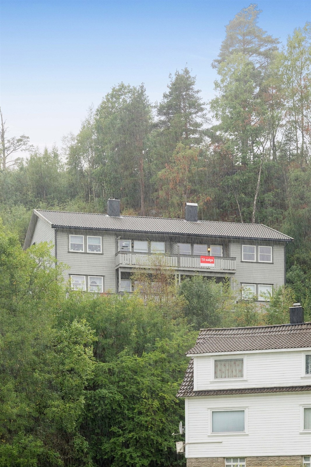 562A5409 Galleribilde