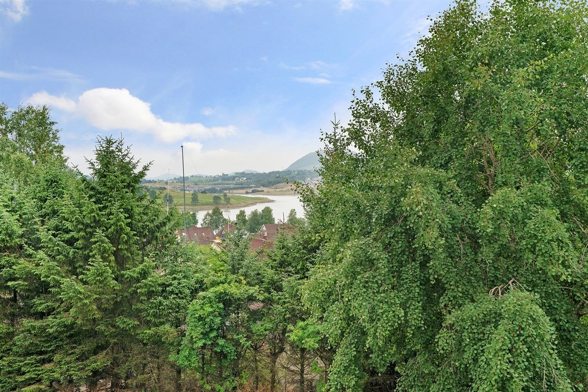 Flott utsikt fra eiendommen Galleribilde