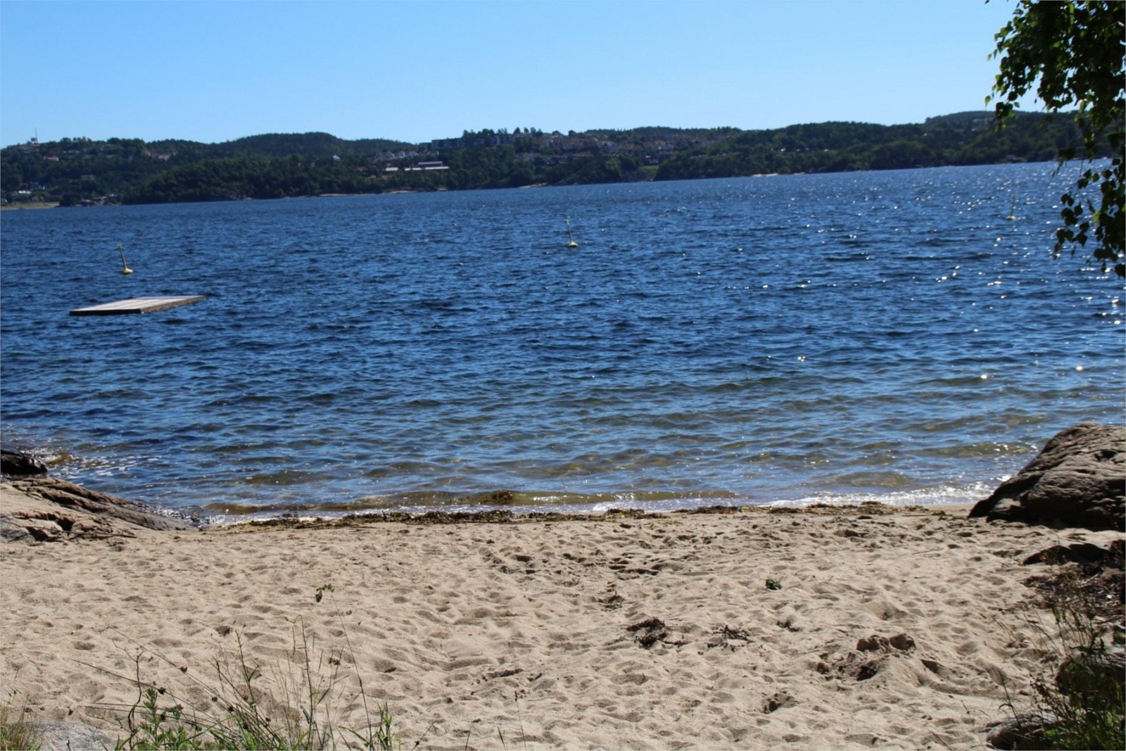 Fra sandstranden ved Narviga Galleribilde