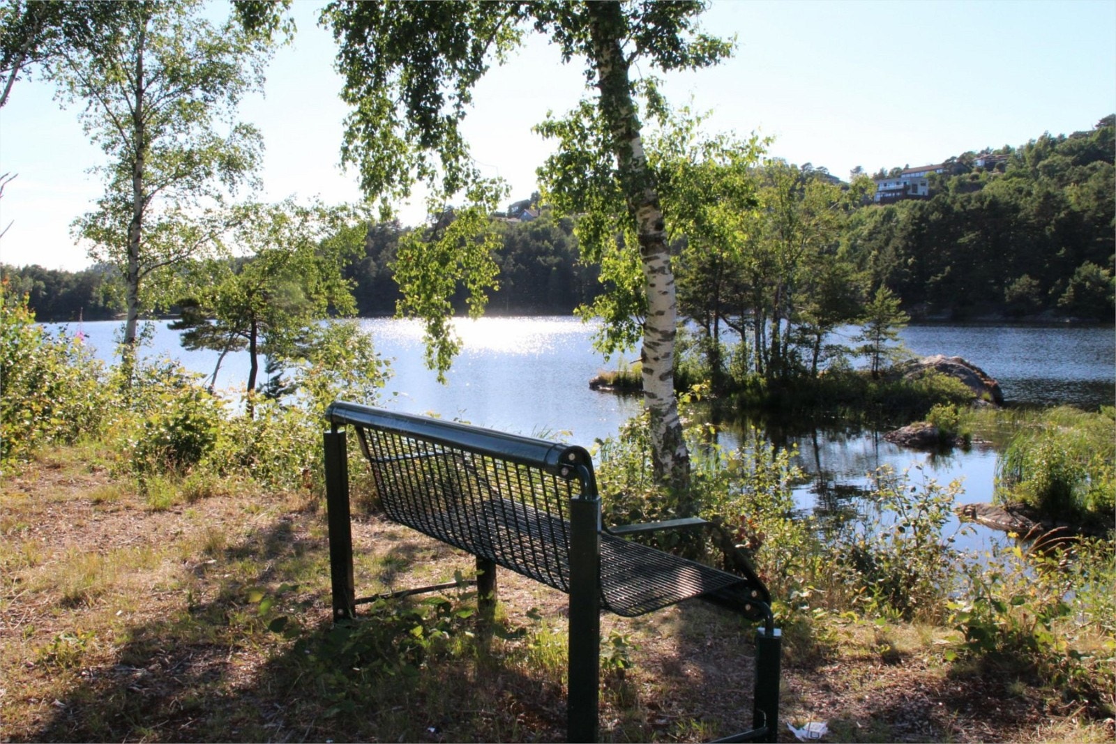 Fra koselig sittebenk ved Vollevannet Galleribilde