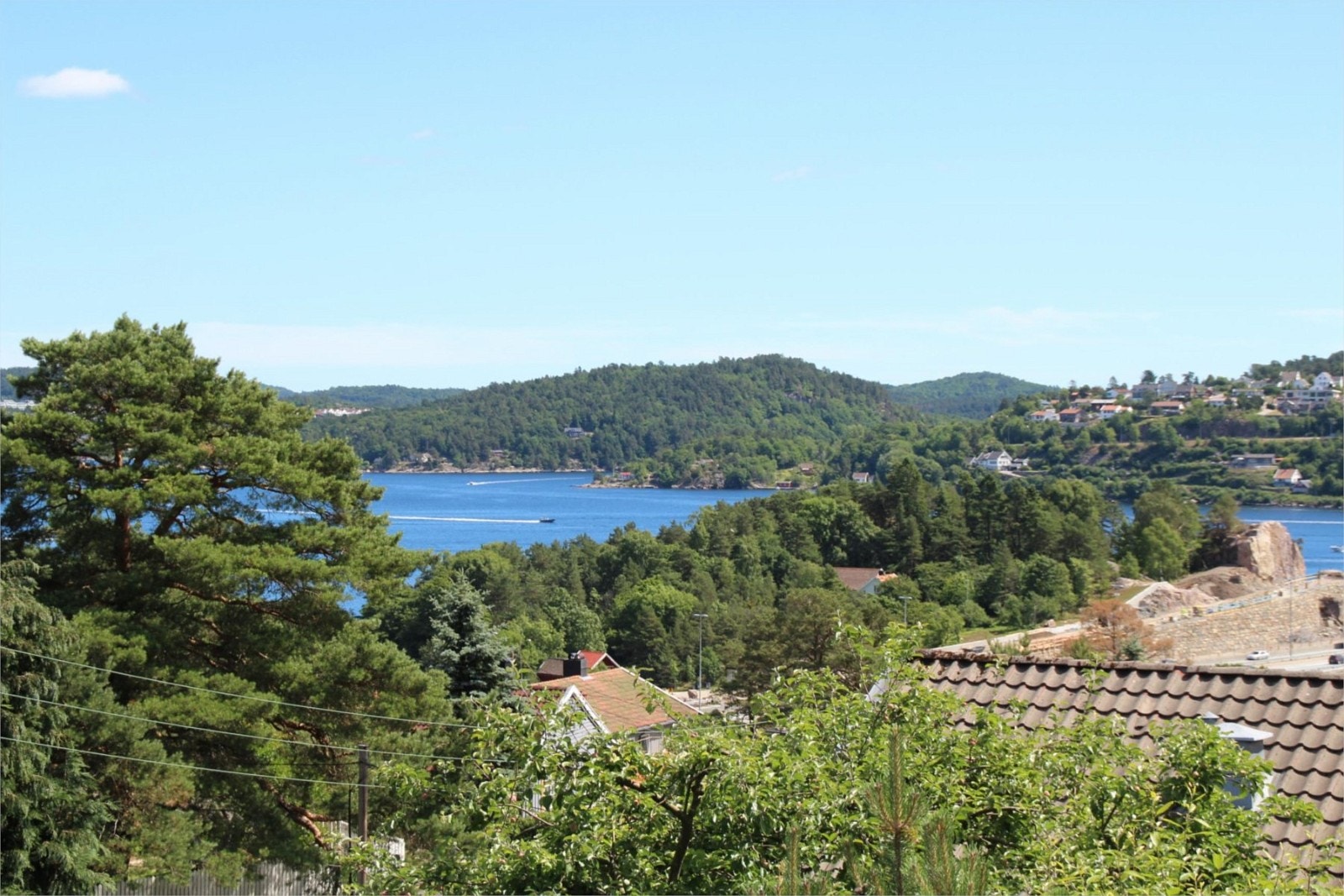 Utsikt mot Topdalsfjorden Galleribilde
