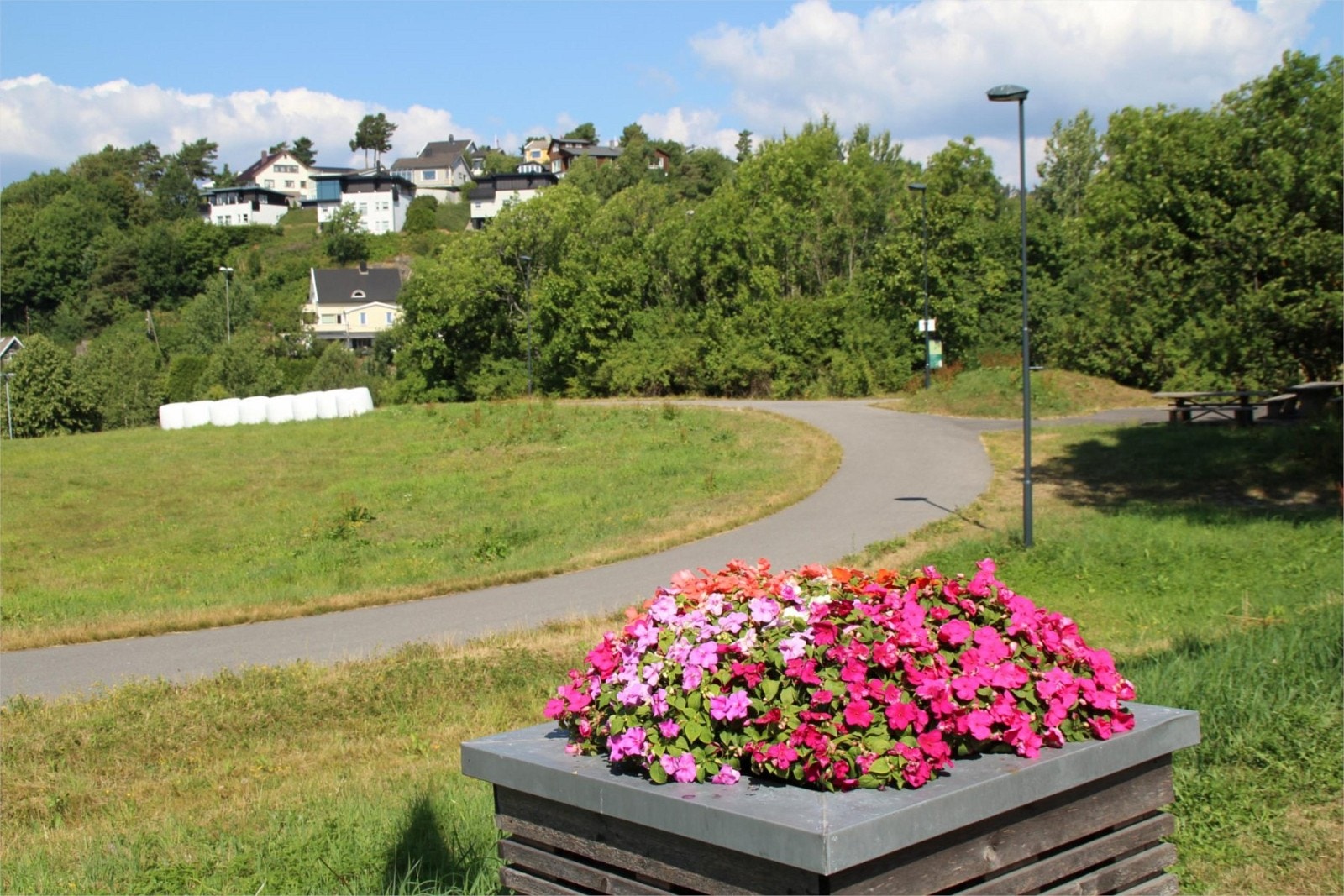 Kort vei til rulleskiløype Galleribilde