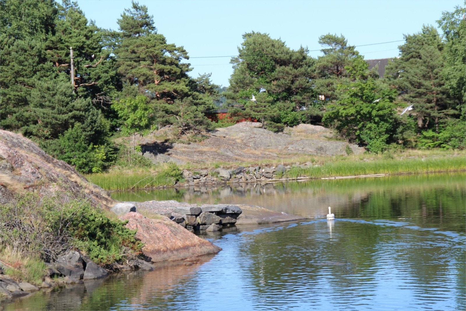 Fra nærområdet ved Narviga Galleribilde