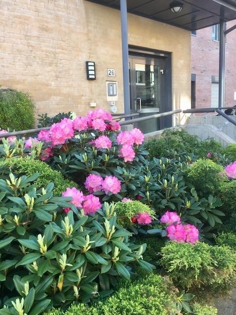 Fra opparbeidet hagedel ved inngangspartiet Galleribilde