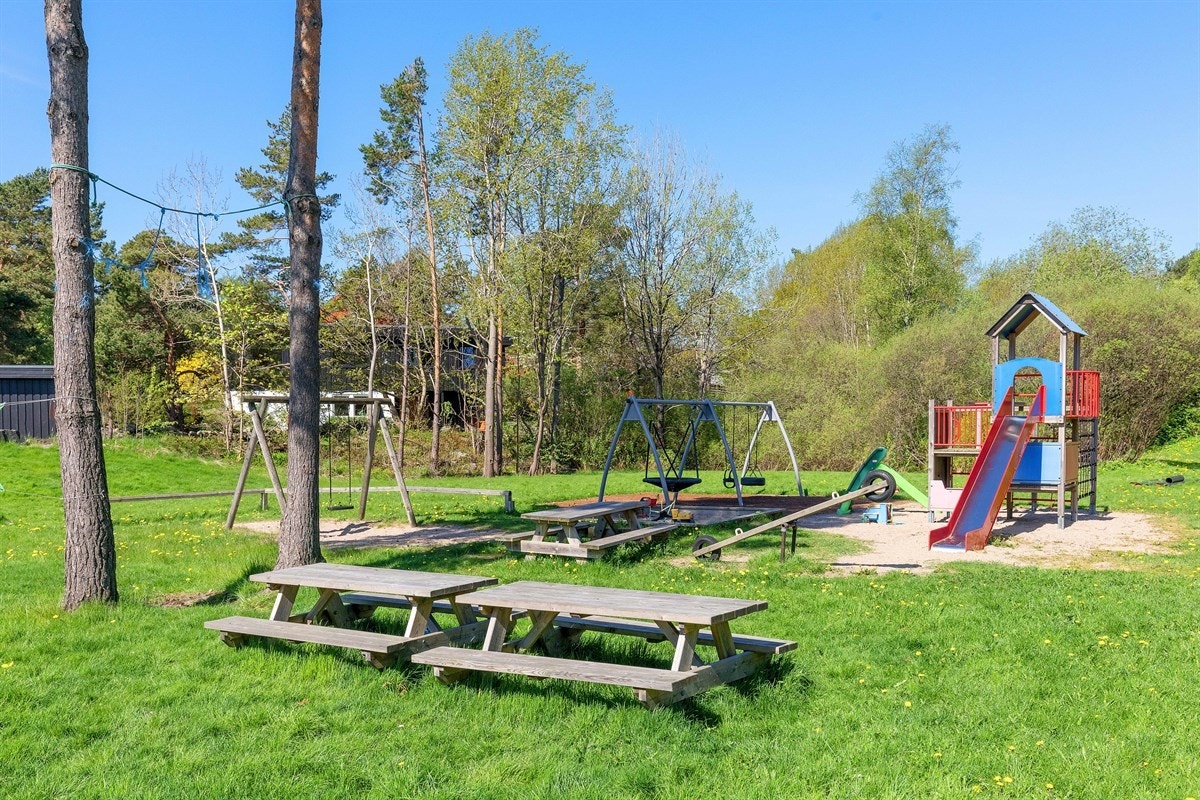 Område Galleribilde