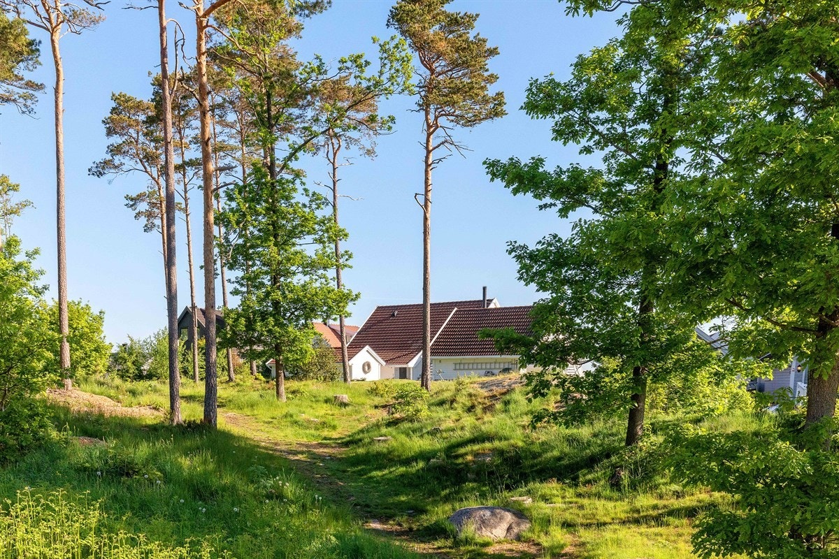 Uteområde Galleribilde