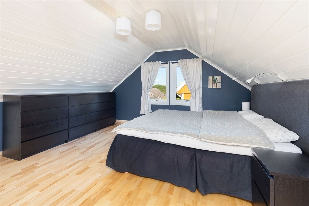 Soveorm Galleribilde